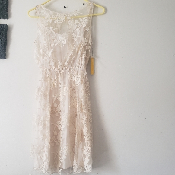 2X HP. ALICE And Olivia Darcy Lace Layover Dress - Picture 5 of 13